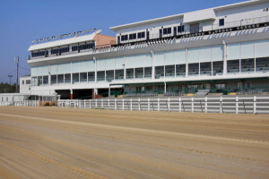 Delta Downs Cancels $1-million Delta Jackpot, Other Stakes Due to